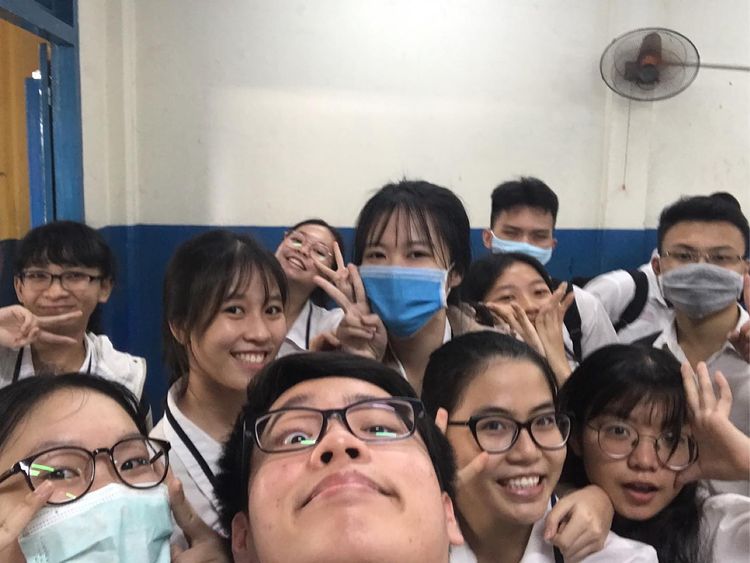 Cutepids group